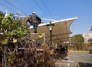 新鄉<font color='red'>膜結構車棚</font>【新運交運公司充電樁車棚】等案例總結