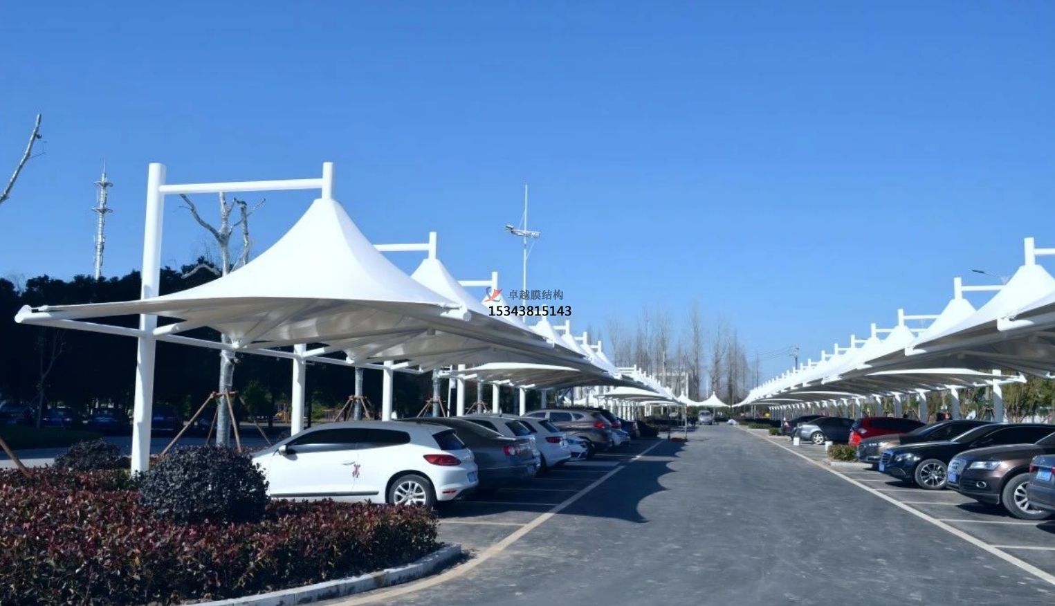 銅川帽頂膜結構車棚——銅川膜結構公司【專業廠家】